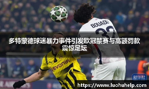 多特蒙德球迷暴力事件引发欧冠禁赛与高额罚款震惊足坛