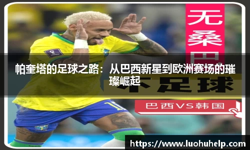 mk体育官网登录平台